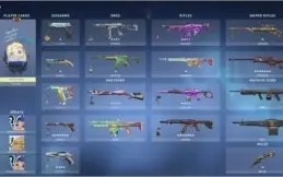 Conta valorant dima/plat FACA e SKINS raras