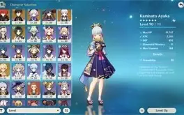 Conta Ayaka + Xiao Abismo 36 ESTRELAS + 80 TIROS (GARANTIDO)