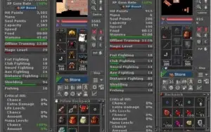 Royal Paladin LvL 340 - Belobra Com RK + Chars Varios World