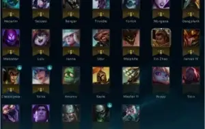Conta platina com mts skin raras, 81 campeões, 9 pag de runa