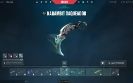 Conta com muitas skins, Karambit Saqueadora e etc...