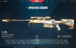 Conta com muitas skins, Karambit Saqueadora e etc...