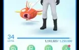 Pokémon Go✨PTC Level 34✨3 shiny✨250k Dust✨13 Legendary✨C090