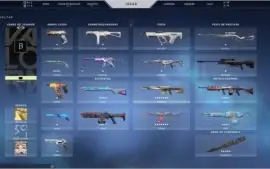Conta Beta Valorant - Muitas Skins - R$ 904,70 Gastos,Plat 2