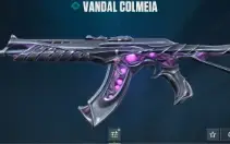 Conta Com 17 Skins ✅ 1 Vandal E 1 Faca ✅ Email Nao Verificad