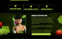 Pack PLR Academy Páginas de Vendas Premium JSON ENVIO AUTO