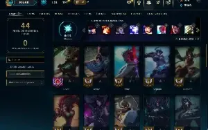 Mestre com 40 Champs e 5 Skins ( 87 PDL )