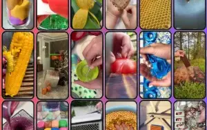Pacote com mais de 8.000 vídeos satisfatórios
