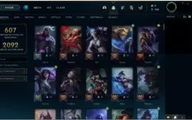 ImperdíveL LV 544+250 SKIN+150CROMAS+2KMARCOS+600MAESTRIA