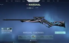 conta valorant muita skin