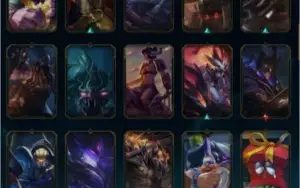 Conta Plat 3 Solo duo, Plat 2 Flex. 108 champ