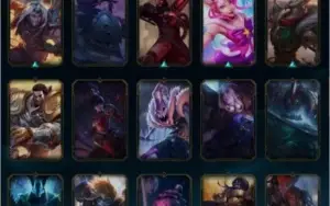 Conta Plat 3 Solo duo, Plat 2 Flex. 108 champ