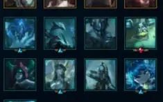CONTA PLATINA 4