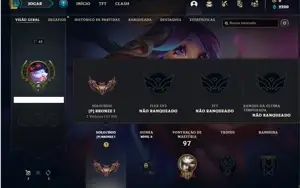 Conta bronze 1 com 40 Champs e 5 Skins + 2 Fragmentos