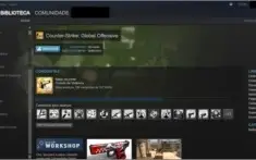 CONTA STEAM LVL 17 - 44 JOGOS + 8 Dlcs