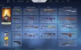 Conta valorant Plantina 1 Lotada de skins 760 gastos