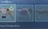 Conta valorant com muitas skins e passe (conta desde o beta)