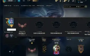 Bronze 4 com 120 Champs e 92 Skins ( ADC / JG )