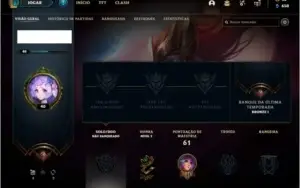 Conta unranked (ex bronze) com 10 skins e 29 champs