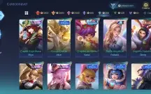 Conta com 132 skins, 76 heróis, nível celestial 34