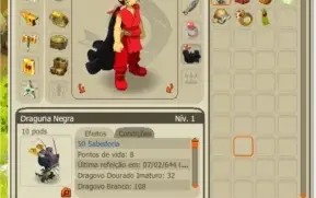 conta dofus servidor spiritia