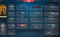 CONTA DE VALORANT COM MUITAS SKINS