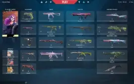 Vendo Conta Valorant Com Skin!