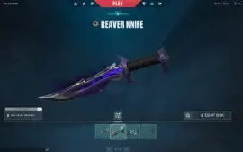 Vendo Conta Valorant Com Skin!