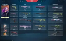 Vendo Conta Valorant Com Skin!