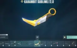 Conta Valorant / Faca Vct Lock In / Karambit Sublime Dima 2