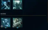 Conta League Of Legends | Todos Os Campeões | 456 Skins