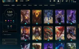 Unranked com 100 Champs e 100 Skins ( MAIN SUP / JG )