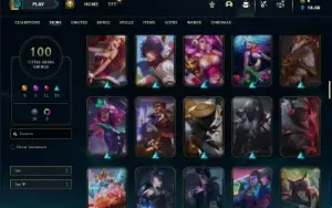 Unranked com 100 Champs e 100 Skins ( MAIN SUP / JG )