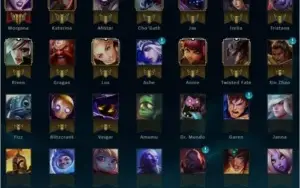 CONTA GOLD MMR ALTO
