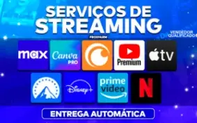Contas/Paineis De Revenda com Hbo Max, Netflix e etc...