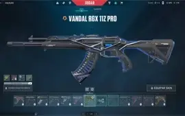 Conta de valorant com vandal rgx