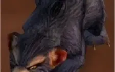 Mascote Ursinho de Dun Morogh