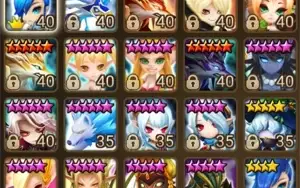conta de sw SEIS NAT 5, conta nvl 50