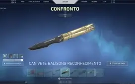 Conta de valorant com mais de 1100 REAIS gasto!