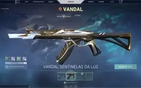 Conta Valorant butterfly + saqueadora + dima 2