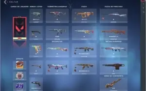 Conta Valorant com varias skins leia a descrição