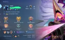 Mobile Legends: Bang Bang ( Emblemas quase full )