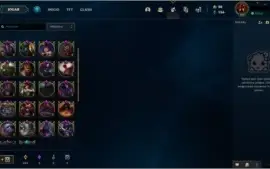 CONTA TOP - 69 SKINS