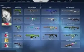 Conta de valorant muitas SKiNs e facas!