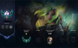 Contas Platina 1