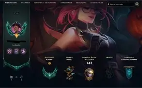 Contas Platina 1
