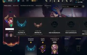 Platina 4 com TODOS os Champs e 225 Skins ( SUP / ADC )