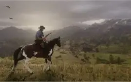 Conta Red Dead Redemption 2 Special Edition