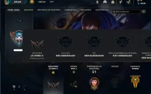 Ferro 2 com 40 Champs  e 4 Skins + 9 Fragmentos