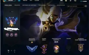 Acc d4 full skin